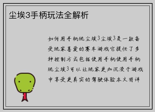 尘埃3手柄玩法全解析